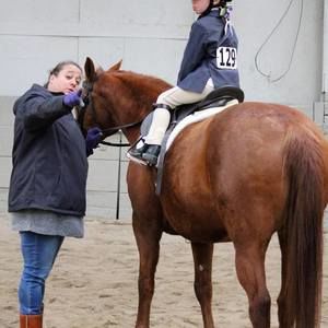 Meet your Posher, Sybil